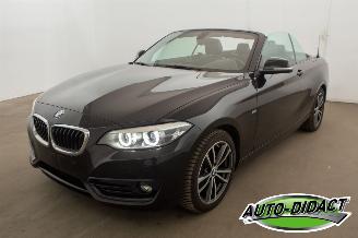 uszkodzony samochody osobowe BMW 2-serie 218i Cabrio Clima Navi CARPAS 2017/8