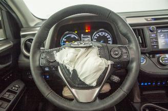 Toyota Rav-4 2.5 Hybrid Elek Pano Camera Leder Autom Navi picture 5