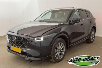 Damaged car Mazda CX-5 2.0 SAG Automatic 2WD 165 Takumi 2024/12
