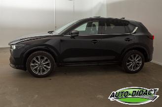 Mazda CX-5 2.0 SAG Automatic 2WD 165 Takumi picture 38