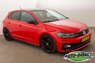 Volkswagen Polo 2.0 TSI 147 KW GTI Automaat DSG STORING picture 45