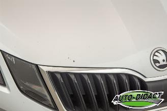 Skoda Octavia 1.5 TSI Automaat Greentech Sport Business picture 36