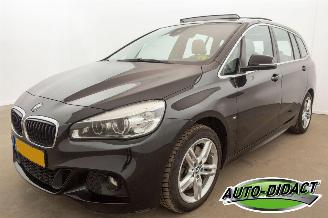 damaged passenger cars BMW 2-serie Gran Tourer 220i Automaat 7p Pano Leder Centennial High Executive 2016/3