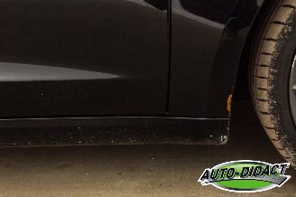 Tesla Model 3 Long Range Dual AWD Pano picture 27