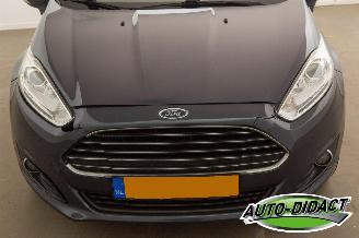 Ford Fiesta 1.6 TDCi Clima Lease Titanium picture 31