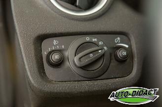 Ford Fiesta 1.6 TDCi Clima Lease Titanium picture 12