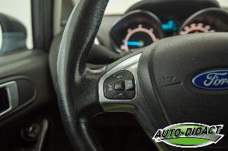 Ford Fiesta 1.6 TDCi Clima Lease Titanium picture 13