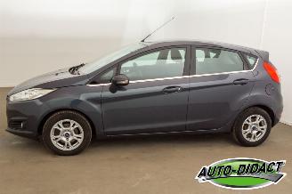 Ford Fiesta 1.6 TDCi Clima Lease Titanium picture 38