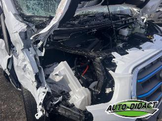 Ford Transit 350 L4H3 Trend 68 kWh Camera Navi picture 37