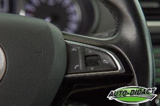 Skoda Octavia 1.6 TDI Clima Navi Greentech Ambition Business picture 16