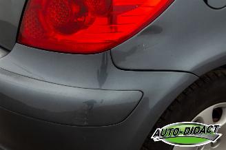 Peugeot 307 1.6-16V Clima Oxygo picture 31