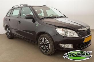 Skoda Fabia 1.2 TDI Greenline Airco picture 2