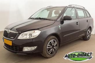 Schadeauto Skoda Fabia 1.2 TDI Greenline Airco 2011/6