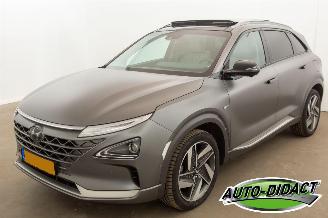 Auto incidentate Hyundai Nexo FCEV Plus Pack HANDEL 2019/7