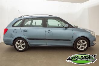 Skoda Fabia 1.2 TDI Airco Greenline picture 45