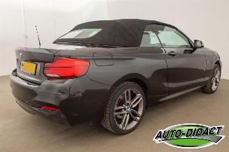 BMW 2-serie 218i Automaat Navi Camera Leder Clima picture 8