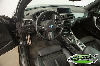 BMW 2-serie 218i Automaat Navi Camera Leder Clima picture 30