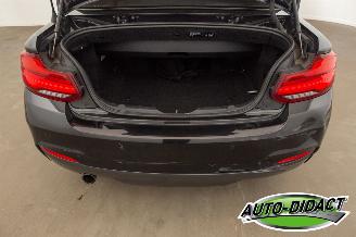 BMW 2-serie 218i Automaat Navi Camera Leder Clima picture 43