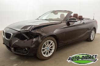 Damaged car BMW 2-serie Cabrio 218i Navi Leder Airco 2015/7