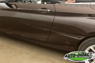 BMW 2-serie Cabrio 218i Navi Leder Airco picture 33