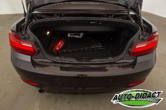 BMW 2-serie Cabrio 218i Navi Leder Airco picture 39