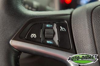 Opel Ampera 1.4 Hybrid Automaat Navi Camera picture 15