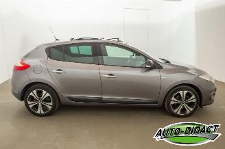 Renault Mégane 1.4 TCe Open Pano Clima Bose picture 38