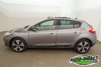 Renault Mégane 1.4 TCe Open Pano Clima Bose picture 37