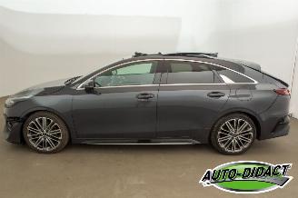 Kia Proceed 1.5 T-GDi Automaat Pano Navi Camera GT-Line picture 41