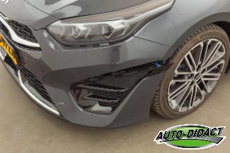 Kia Proceed 1.5 T-GDi Automaat Pano Navi Camera GT-Line picture 33