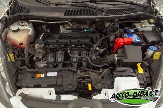 Ford Fiesta 1.25 Airco Limited picture 31