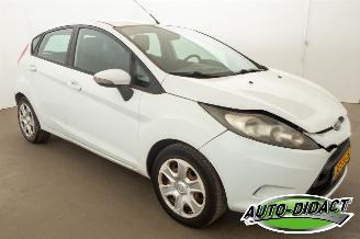 Ford Fiesta 1.25 Airco Trend picture 2