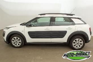 Citroën C4 cactus 1.2 PureTech Clima Camera Feel picture 34
