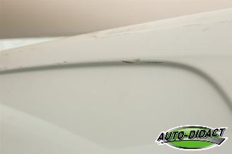 Mercedes Vito 114 CDI Lang Automaat Airco Lease-Edition picture 28