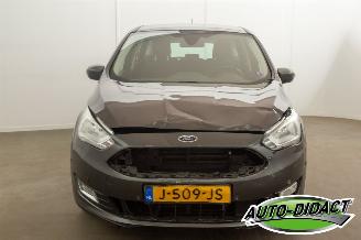 Ford C-Max 1.0 Navi Clima Titanium picture 36