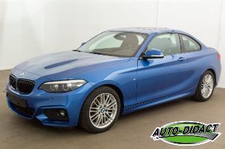 škoda osobní automobily BMW 2-serie 218d Automaat Leder Navi Schuifdak 2019/7