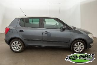 Skoda Fabia 1.2 TSI Airco Ambition picture 33