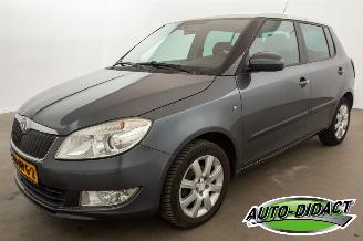Schadeauto Skoda Fabia 1.2 TSI Airco Ambition 2010/10