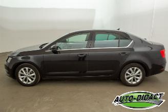 Skoda Octavia 1.0 TSI Navi Clima Greentech Business Edition picture 35