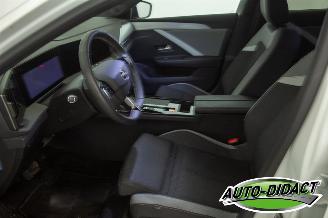 Opel Astra Electric 54 kWh 47.475 km NAP Navi Camera Clima Business Edition picture 21