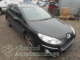 Peugeot 407 407 SW (6E) Combi 2.0 HDiF 16V (DW10BTED4(RHR)) [100kW]  (07-2004/12-2=
010) picture 2