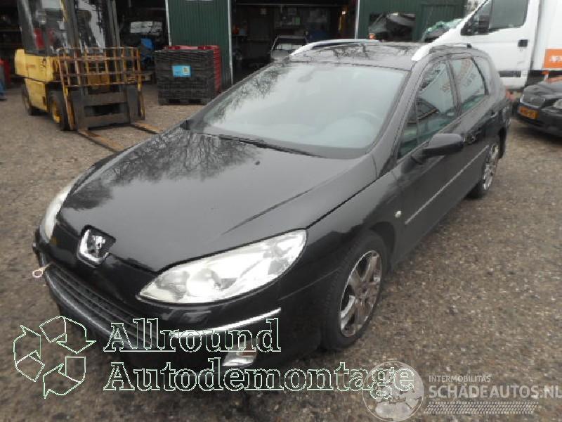 Peugeot 407 407 SW (6E) Combi 2.0 HDiF 16V (DW10BTED4(RHR)) [100kW]  (07-2004/12-2=
010)