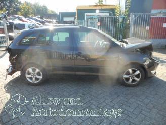 Skoda Fabia Fabia II Combi Combi 5-drs 1.2 TDI 12V Greenline (CFWA) [55kW]  (05-20=
10/12-2014) picture 5