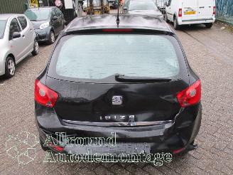 Seat Ibiza Ibiza IV (6J5) Hatchback 5-drs 1.4 16V (CGGB) [63kW]  (03-2008/05-2015=
) picture 6