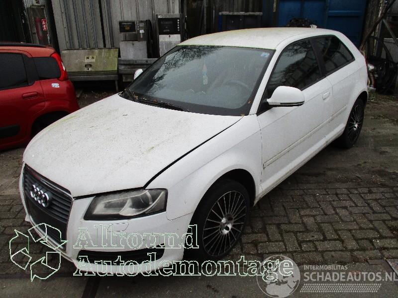 Audi A3 A3 Sportback (8PA) Hatchback 5-drs 2.0 TDI 16V (CBAB) [103kW]  (09-200=
4/03-2013)