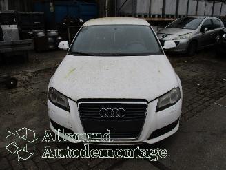 Audi A3 A3 Sportback (8PA) Hatchback 5-drs 2.0 TDI 16V (CBAB) [103kW]  (09-200=
4/03-2013) picture 5