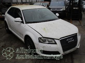 Audi A3 A3 Sportback (8PA) Hatchback 5-drs 2.0 TDI 16V (CBAB) [103kW]  (09-200=
4/03-2013) picture 2