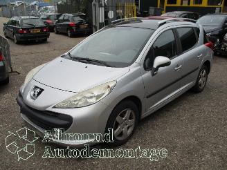Dezmembrări autoturisme Peugeot 207 207 SW (WE/WU) Combi 1.4 16V Vti (EP3(8FS)) [70kW]  (06-2007/10-2013) 2009/6