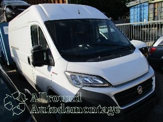 Fiat Ducato Ducato (250) Van 2.3 D 130 Multijet (F1AGL411D(Euro 6)) [96kW]  (08-20=
06/...) picture 2