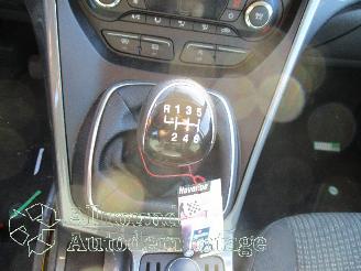 Ford C-Max C-Max (DXA) MPV 1.0 Ti-VCT EcoBoost 12V 125 (M1DA(Euro 5)) [92kW]  (10=
-2012/06-2019) picture 13